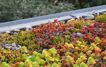 the cost of Goathill green roof installation