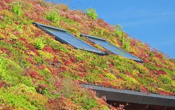 Goathill living roof systems