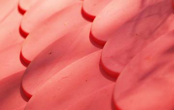 Goathill plastic roof costs