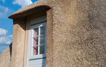 Goathill thatch roof disadvantages