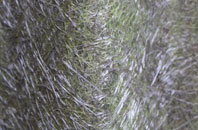 Goathill fibreglass roof work