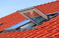 Goathill roof window