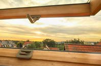 rated Goathill roof window companies